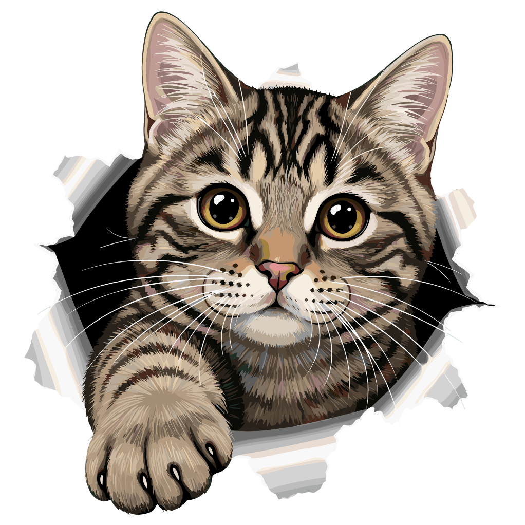 GATO